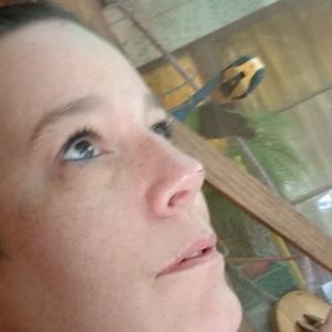 Meet your Posher, Lysa